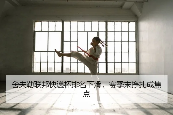 she-fu-lei-lian-bang-kuai-di-bei-pai-ming-xia-hua-sai-ji-mo-zheng-zha-cheng-jiao-dian-2-298.jpg